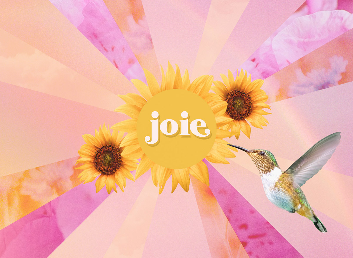 Joie Programme — Josée-Anne SC
